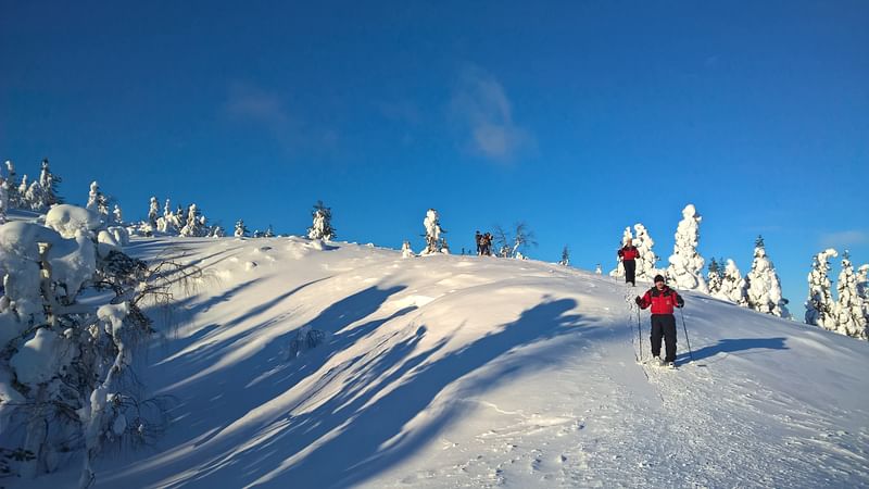 Top of Luosto fell Snowshoeing in Pyhä-Luosto Nationalpark Lapland @Kairankutsu
