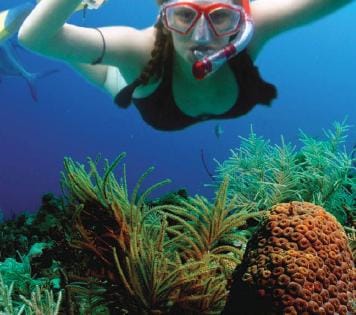 CATAMARAN TOUR TO ISLA MUJERES 3