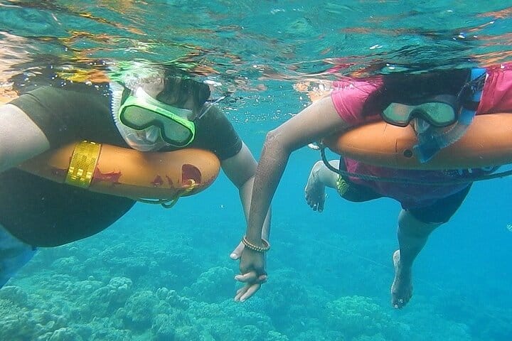 Key West Snorkeling Adventure from Miami 3