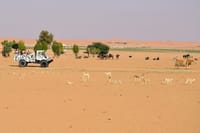 An Exciting Adventure on an Open Safari Vehicle at Nova Park 1