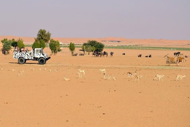 An Exciting Adventure on an Open Safari Vehicle at Nova Park