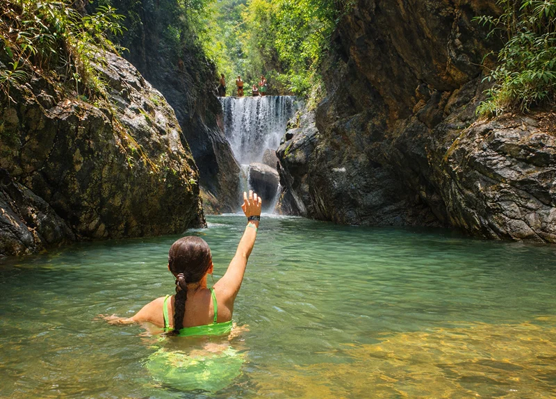 Jungle Hike & Waterfall Swim with Nature Expert