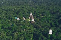 Tikal Shared Experience: Flight + One Day Tour from Antigua 2