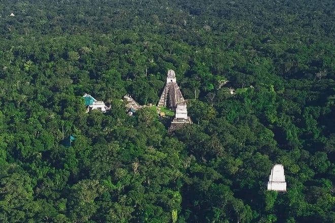 Tikal Shared Experience: Flight + One Day Tour from Antigua 2