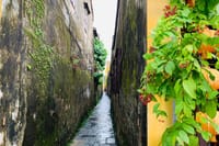 Hoi An: HOI AN ANCIENT CHARM WALKING TOUR 9