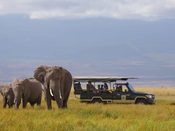 Game drives at Amboseli