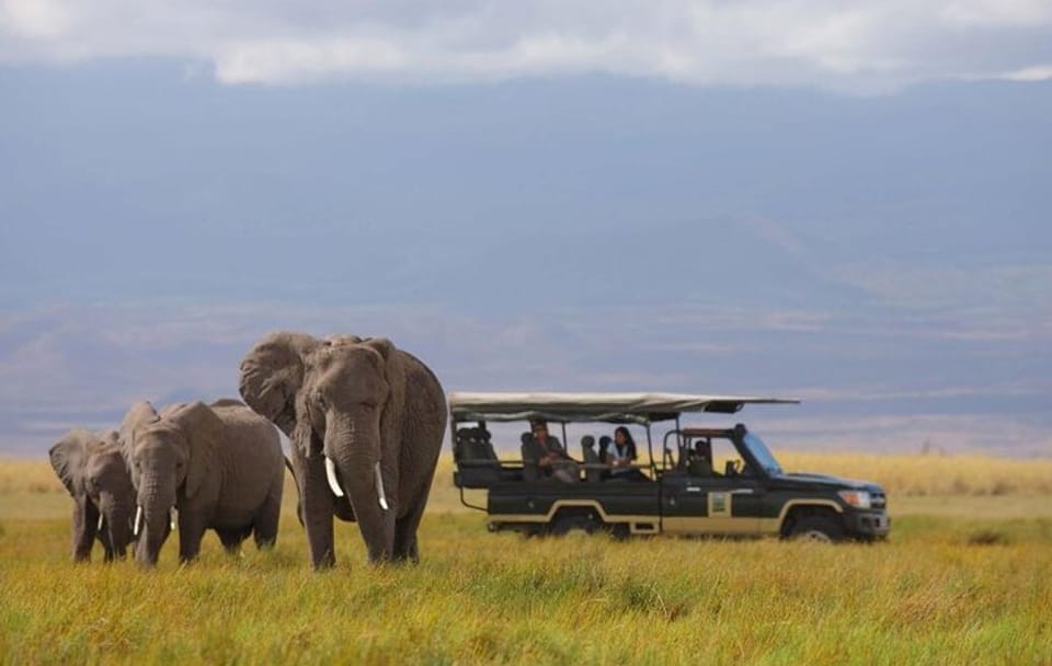 Diani Beach to Amboseli National Park 2-Day Safari Tour