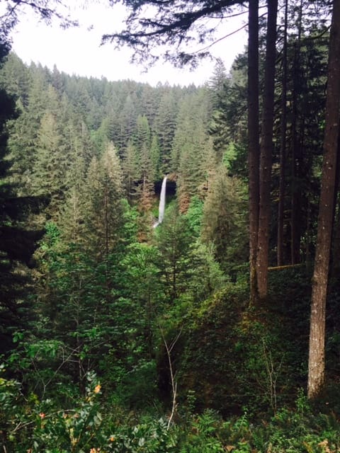 Private:  Hiking Adventure photo 4