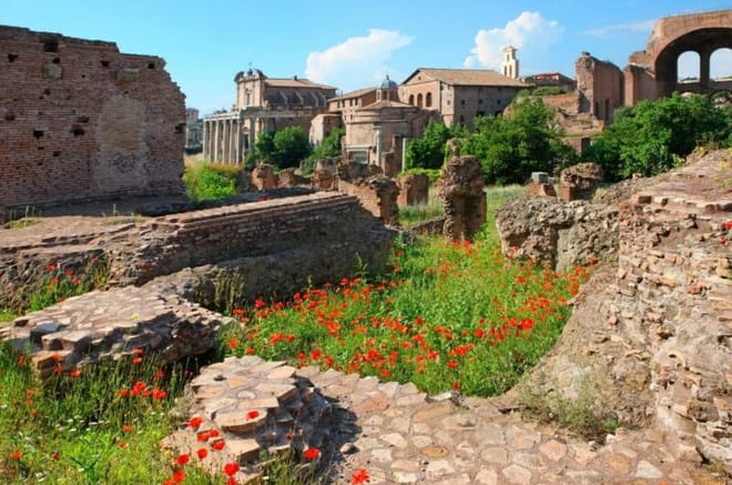 Women of Ancient Rome Tour | Colosseum Forum & Palatine Hill