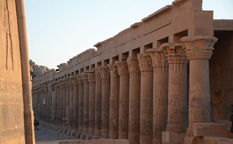 Edfu and Kom Ombo Temples Tour from Aswan or Luxor