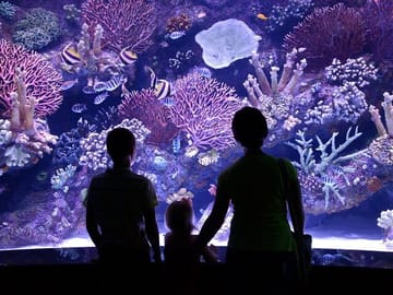 Antalya Aquarium and Fun Park All-Inclusive Tour with Pickup
