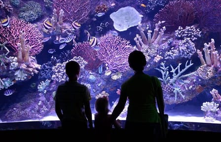 Antalya Aquarium and Fun Park All-Inclusive Tour with Pickup