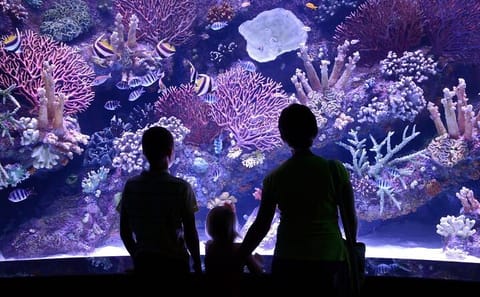 Antalya Aquarium and Fun Park All-Inclusive Tour with Pickup