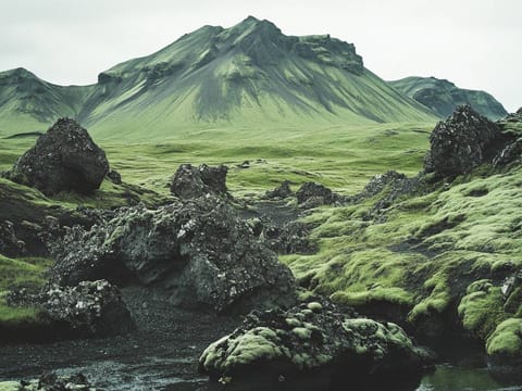 Moss and lava rocks