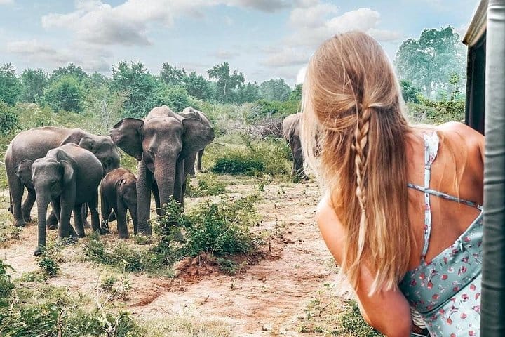 Wild Wonders Of Sri Lanka | 7 Days