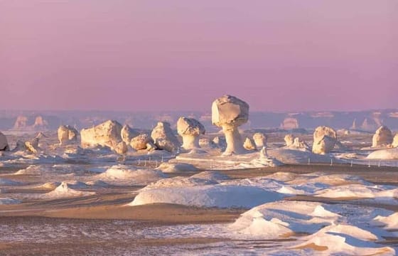 15-Day Cultural Tour of Cairo, Alexandria, and Aswan