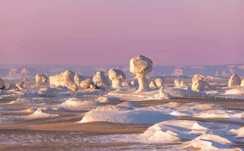 15-Day Cultural Tour of Cairo, Alexandria, and Aswan