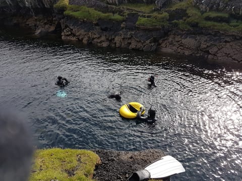 Freedive foodhunt , photo 5