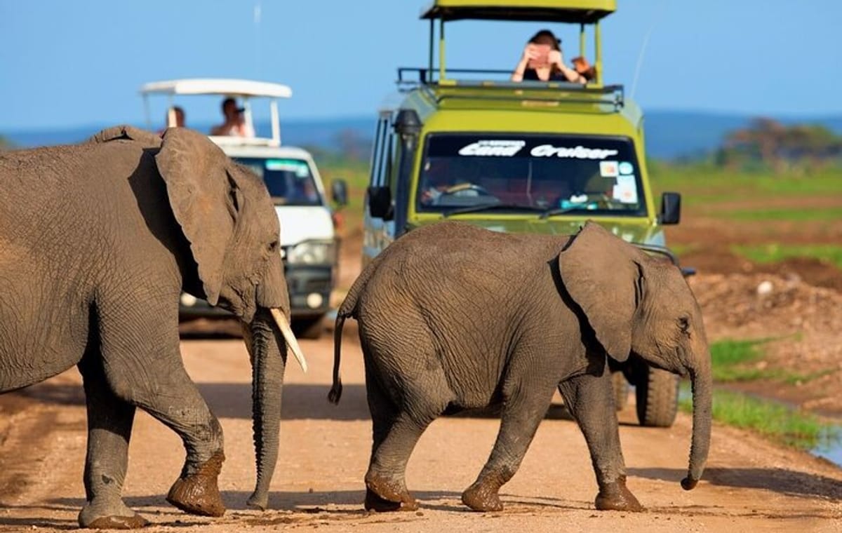 3 Days Amboseli National Park Lodge Safari In Kenya