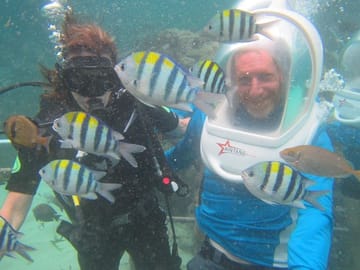 Sea Walker Experience