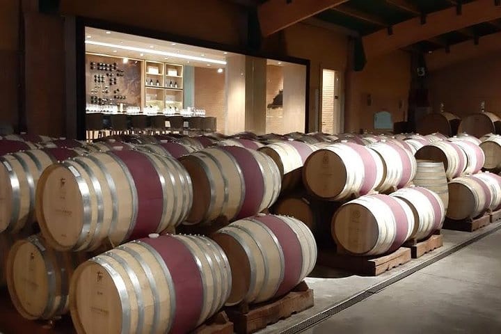 3 Day Private Santiago City & Casablanca Valley Wine Tour 3