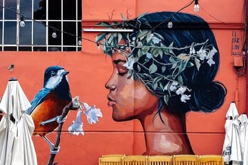 Walking Tour of Street Art in Palermo, Buenos Aires