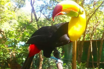 Mayan Eden Eco Park Tour, City Tour & Transfer