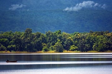 Tiger Safari Tour in Pench and Satpura National Parks from Nagpur