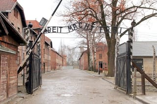 Krakow to Auschwitz-Birkenau: Private Round-Trip Experience