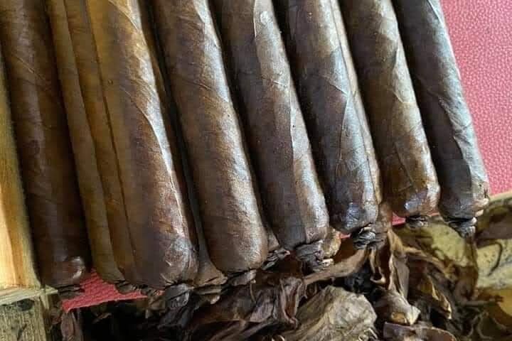 Buggy & ATV adventures-# 1 in puntacana (macao )