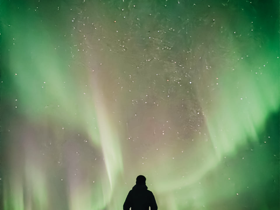 Adventure! Arctic Odyssey: Huskies and the Aurora Borealis! — Fox Adventure ehf