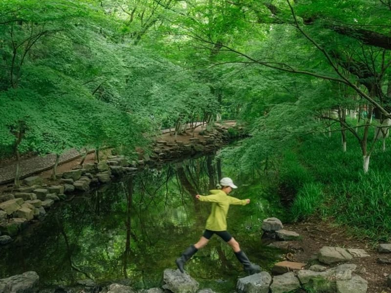 Zhengzhou: Shuigu Mountain & Cherry Picking Private Day Trip