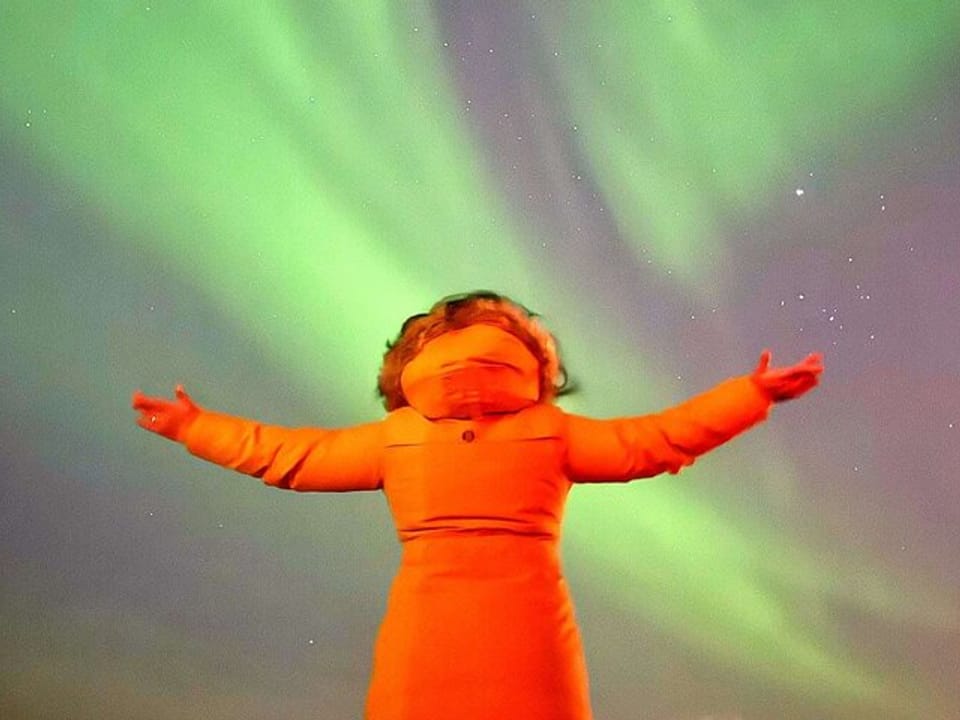 Private Northern Lights Tour – Mercedes-Benz V-Class (1–6 Passengers) — Ride Iceland