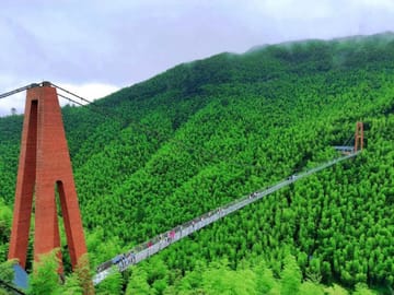 Shanghai: Crouching Tiger Bamboo Forest & White Tea Trip