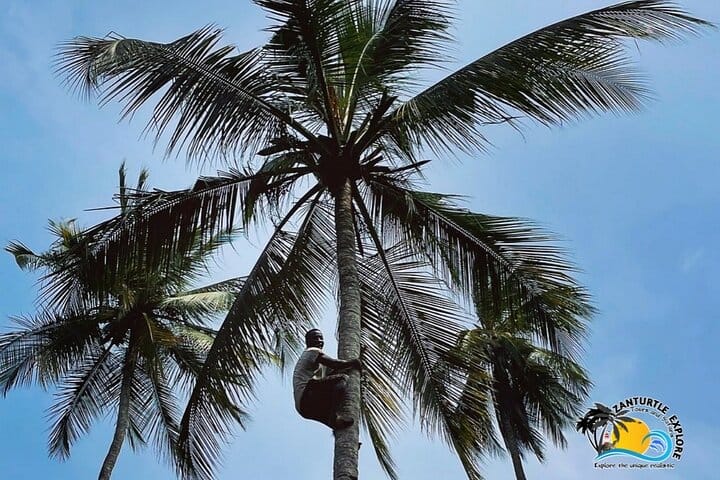 Turtle Beach Boat Tour & Mud Bath & Thermal Pool in Marmaris