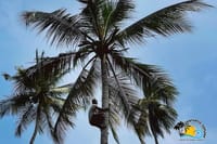 Zanzibar Spice Farm Tour and Cooking Class With Lunch 6