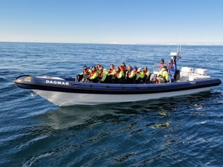 Puffin Express by RIB Speedboat, photo 6