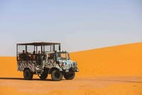 An Exciting Adventure on an Open Safari Vehicle at Nova Park 6