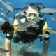 Scuba Diving with Fishes