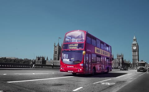 Private Full Day Tour of London with Entry Passes Included