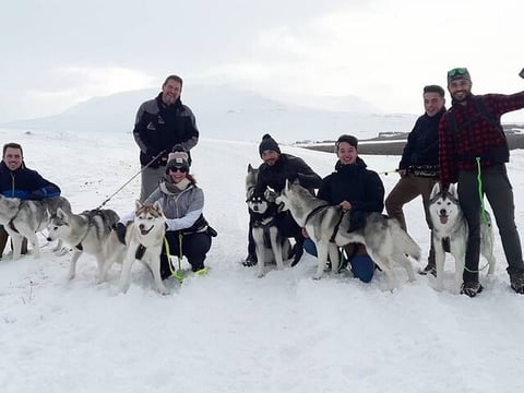 Hiking with Husky in Akureyri (private), photo 4