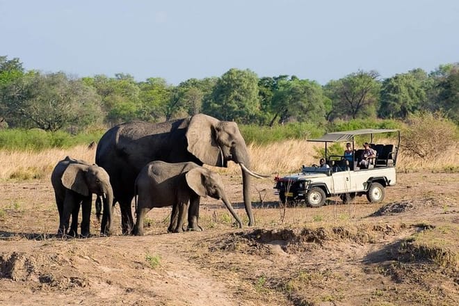 An Activity that can allow you to get closer to animals