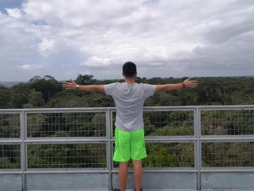 Above the trees