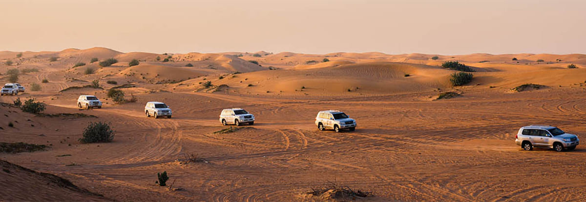 Dubai: City Tour and Desert Safari where the City Charm and Desert Thrill Combined In One Tour