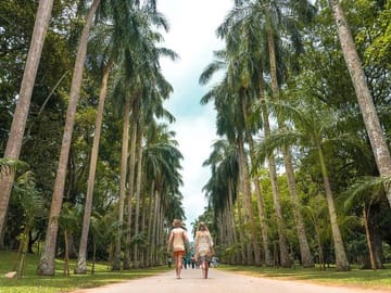 Botanical Garden