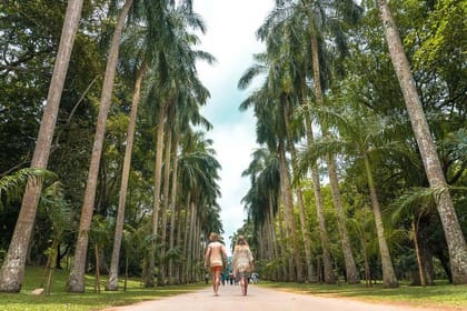 Adventures of the Last Kingdom of Sri Lanka