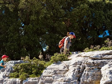 Knossos Palace , Museum & Heraklion city private tour
