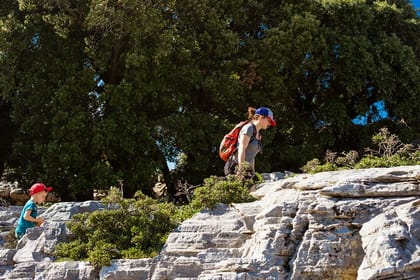 Guided Hiking Tour in Randis Forest, Ikaria, Greece