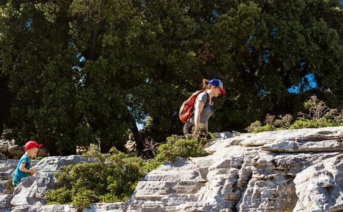 Guided Hiking Tour in Randis Forest, Ikaria, Greece