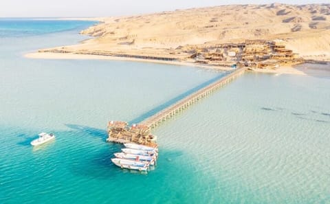 Full-Day Snorkeling and Beach Trip at Orange Island, Hurghada